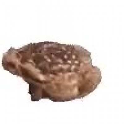 Fr&ouml;g