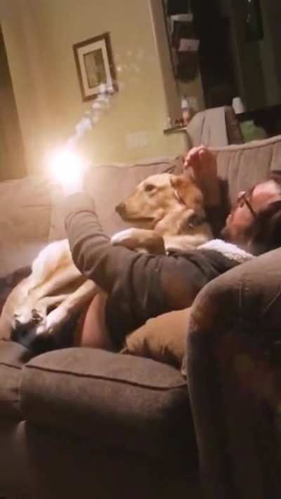 "My dad launching a nuclear missile on my dog." by aboycalledjonny