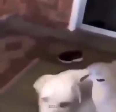 hmmm