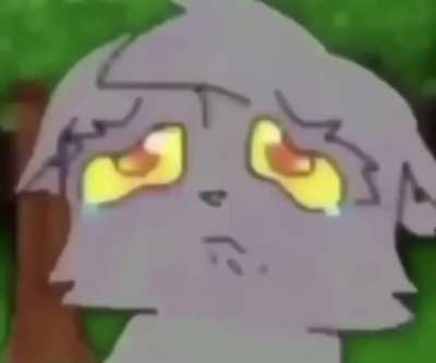 warriors_irl