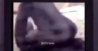 Funny *monke* dance