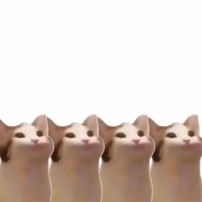 Title