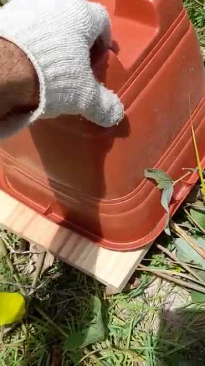 Today I tried to remove a tarantula from my house...