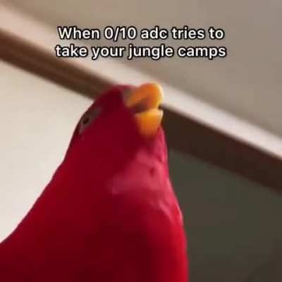 Don't even try it.