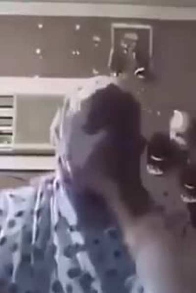 Allah Akbar
