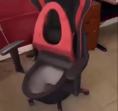 gamer