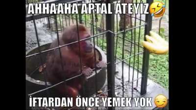 atayis kardeşimi eyitiyorum 👨&zwj;🏫🍌🐒