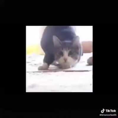 Me mir&oacute; y la mire