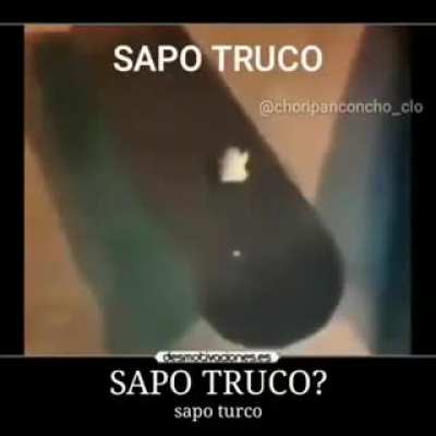 sapo truco