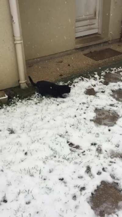 First steps of Rufio on the snow ^^ Puts sound on