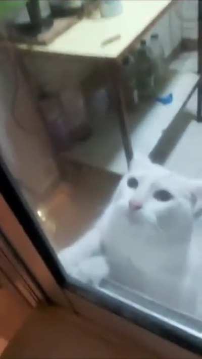 &eth;&ordm;