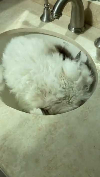 We have square sinks at home, so he&rsquo;s really enjoying the rollability of a round one here