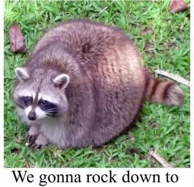 Funky rule