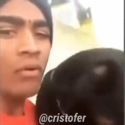 🐶🐶🐶