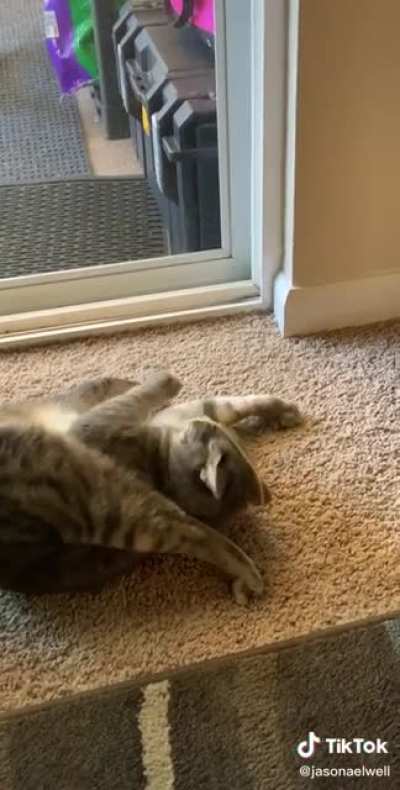 Noodle malfunction