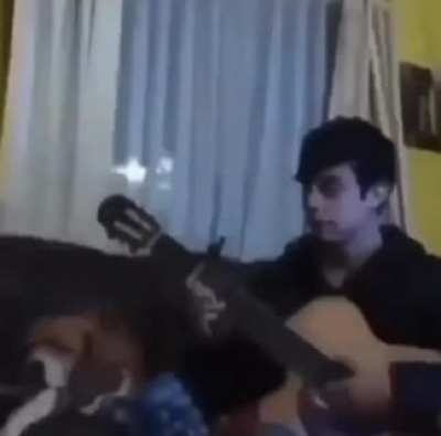 DOG🐶