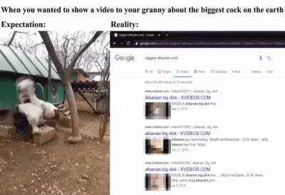 I only wanted to show a cute animal video