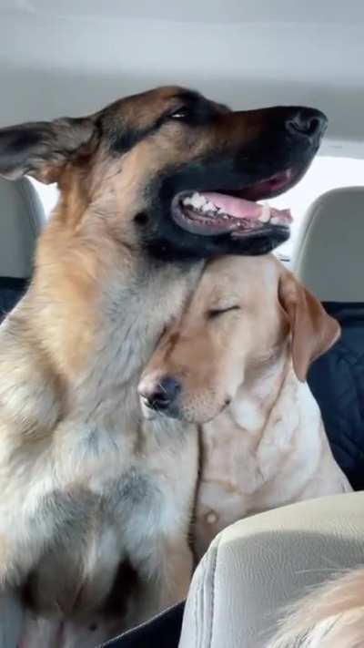 Car rides together