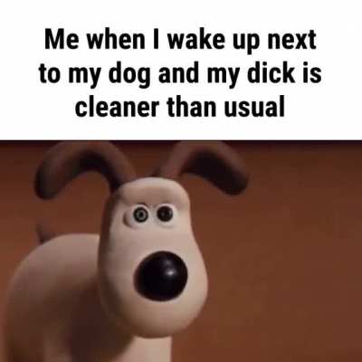 what did you do animal
