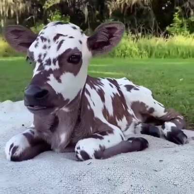 Cutie!! 😍