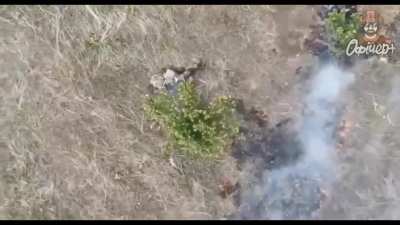 Ukraine War | The Living End | Russian&rsquo;s UnLiving Themselves | Week of August 4, 2024 | NSFW/NSFL
