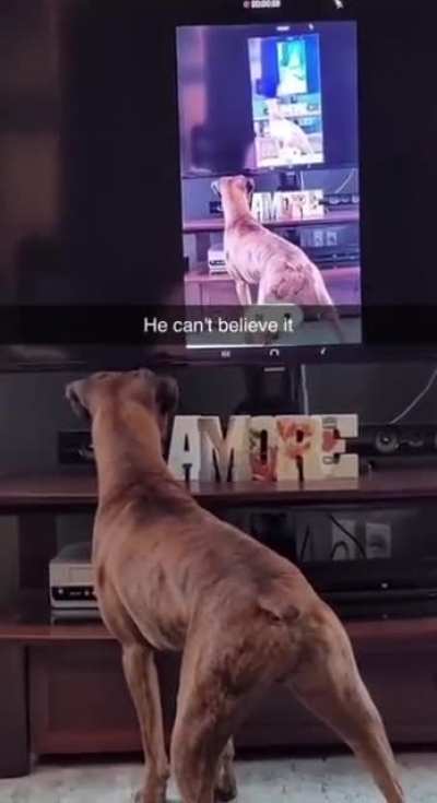 I'm on TV?!