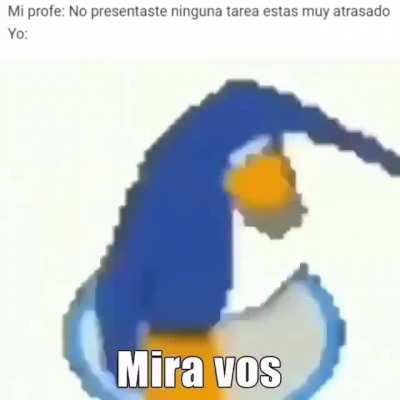 Sorry ticher