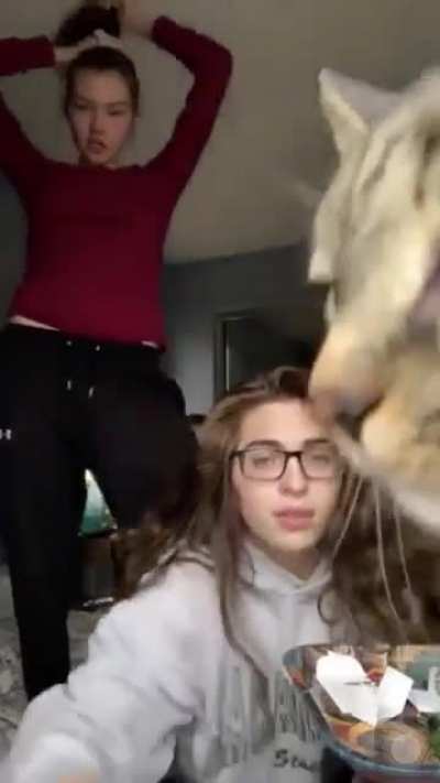 Periscope Pantsing