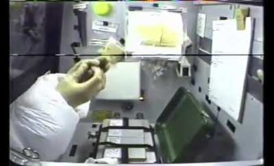 Frog in Space