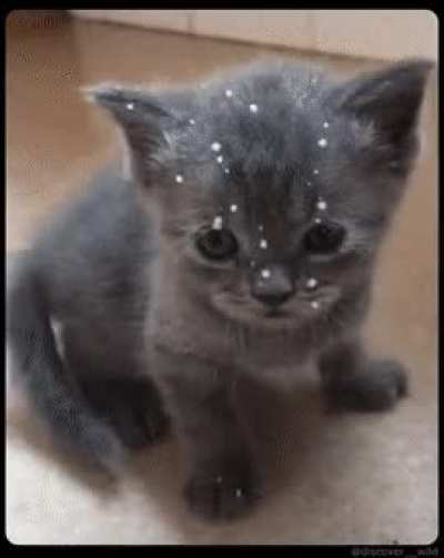 got milk everywhere