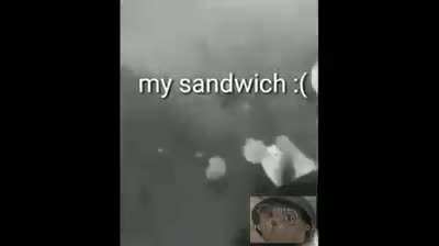 El s&aacute;ndwich :(