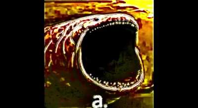 &ldquo;a.&rdquo; -Bob Wicks
