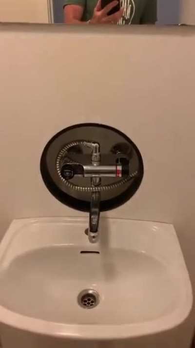American gets a hotel room in Denmark, discovers hidden shower stall.