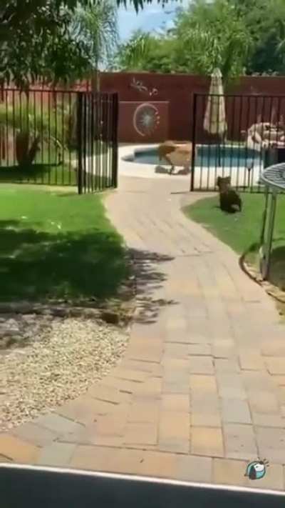 Left me up bro🤣