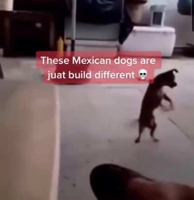 Nmms🤣