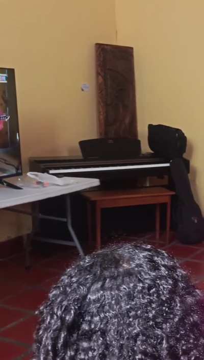 Inici&oacute; el Festival Internacional de M&uacute;sica y Danza Africaribe 2025 Carabobo