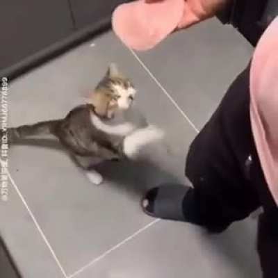 hayatımın &ouml;zeti olr gibi D: