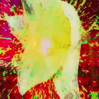 &zwj;