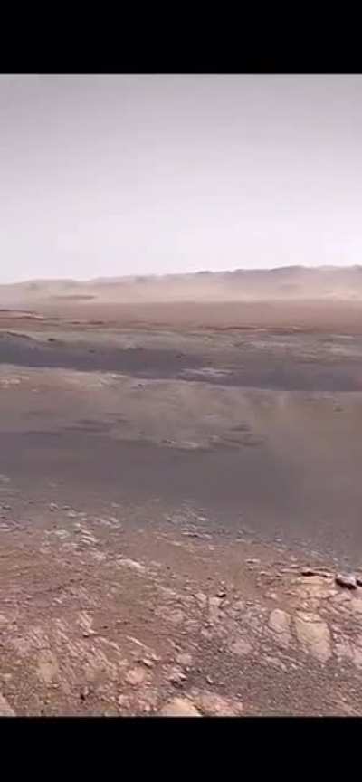 From swinging on trees, to landing on Mars, humans are unbelievable