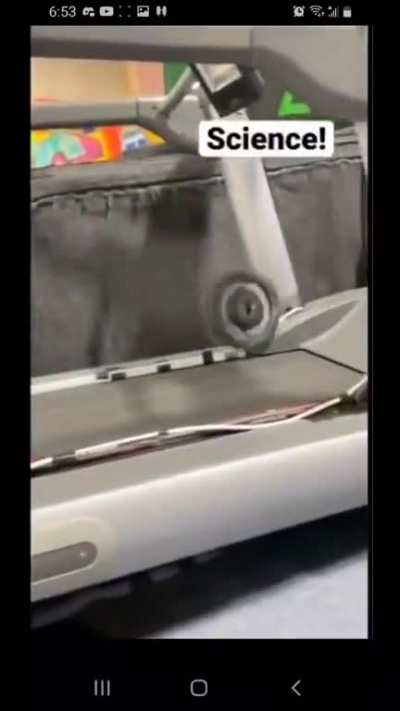 Sloth like reflexes
