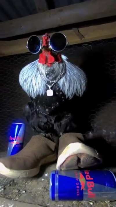 Big Black Cock