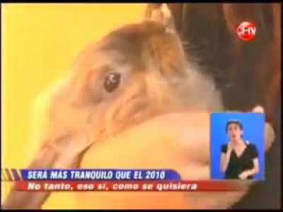 No quiso hablar :(