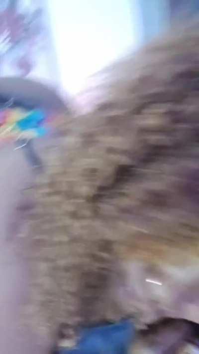Rainbow 2