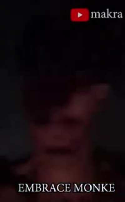 Return to monke