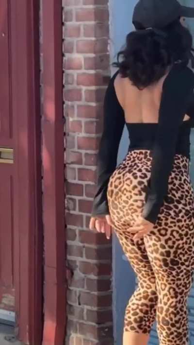 Cheetah Print