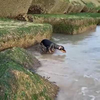 Help me. I'm stranded!