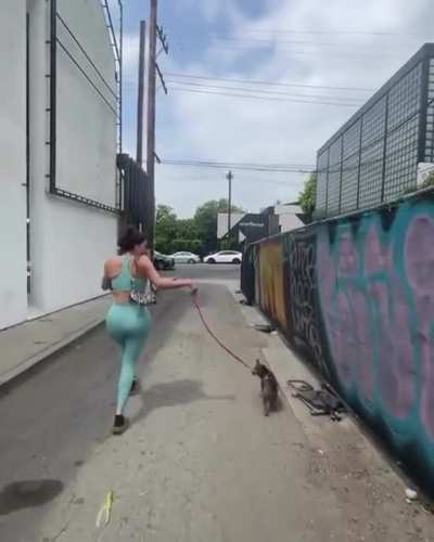 Walking the dog