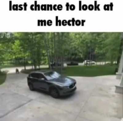Hector