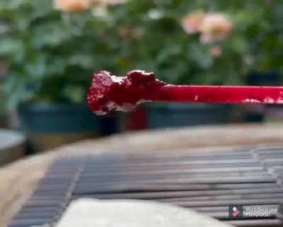 The cochineal (Dactylopius coccus) is a scale insect, a type of immobile parasite living on the moisture and nutrients of cacti in the genus Opuntia. From this insect a natural dye called carmine is derived (the insect produces carminic acid that deters i