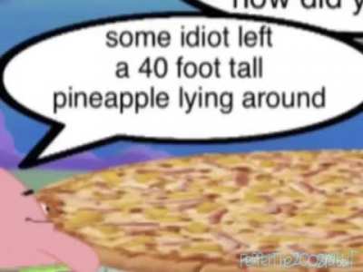 aw hell nah payrik get wrid of sponglebonglegob’s hoome